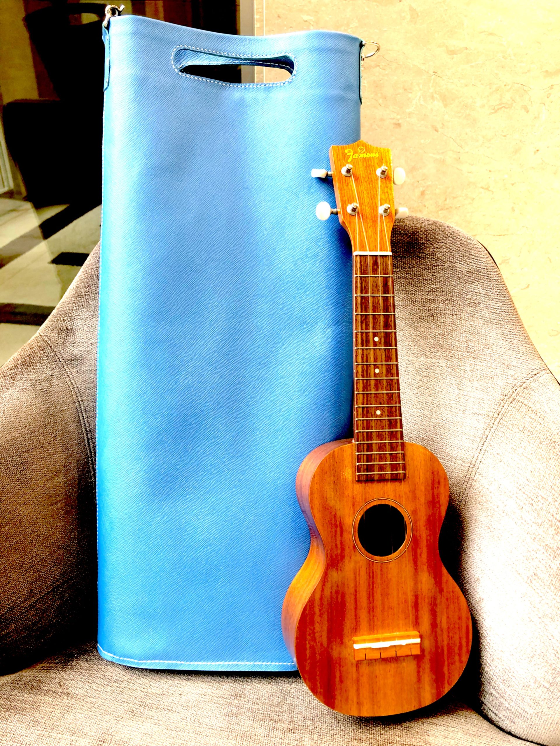 ukulele bag